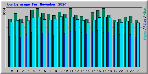 Hourly usage for November 2024