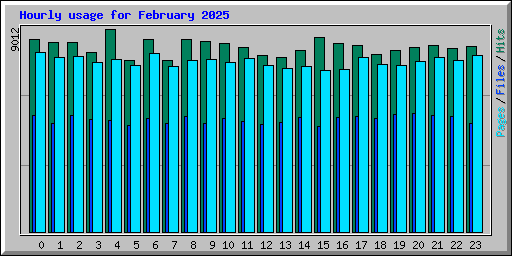 Hourly usage for February 2025