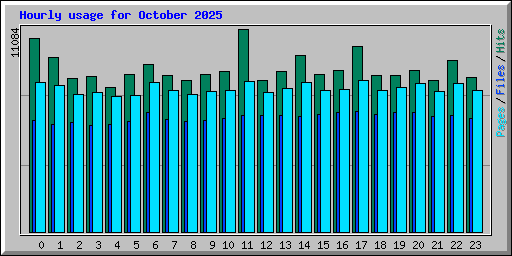Hourly usage for October 2025
