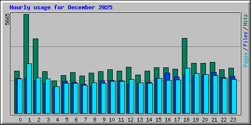 Hourly usage for December 2025